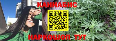 apvp Пугачёв