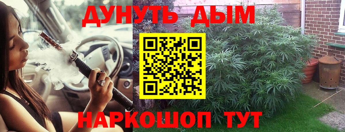 Бошки Шишки Bruce Banner  Канабис тримм  Марихуана OG Kush  Вход с VPN  Санкт-Петербург 